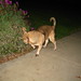 Susan Buell Photo 5