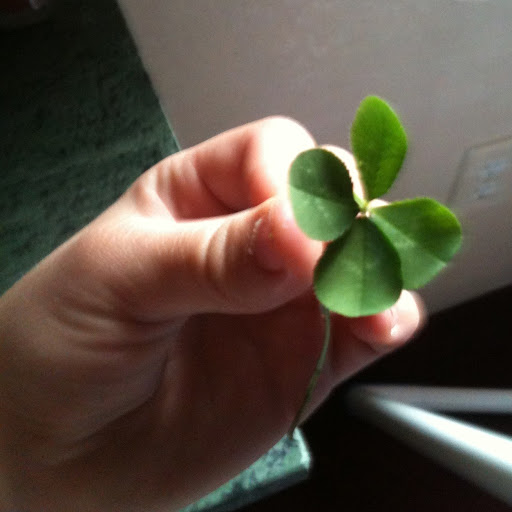 Matt Hardin Photo 18