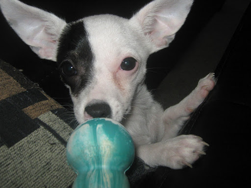 Debbie Hussey Photo 9