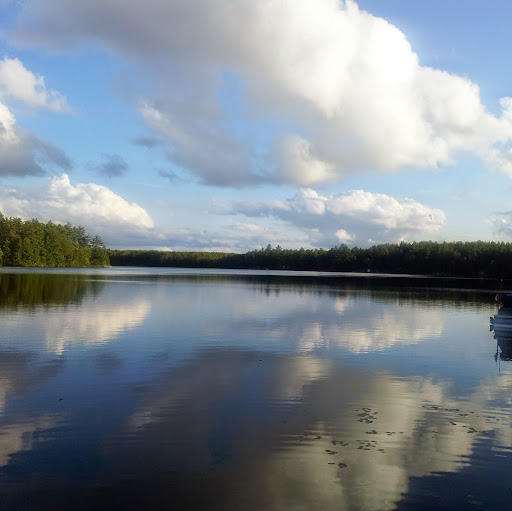 Michael Dion Photo 33