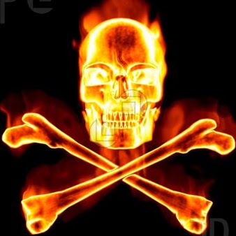 Graham Davidson Photo 6