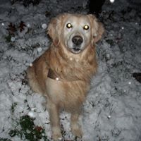 Cindy Gabel Photo 13