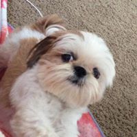 Sara Fairchild Photo 34