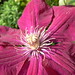 Liane Bloom Photo 5