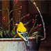 Joy Grass Photo 4