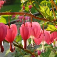 Sheryl Christensen Photo 34