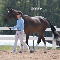 Christine French Photo 18