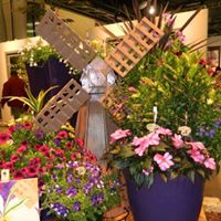 Linda Dailey Photo 13