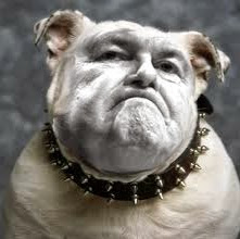 Jerry Potter Photo 15