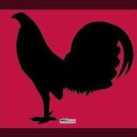 Andres Bermudez Photo 8