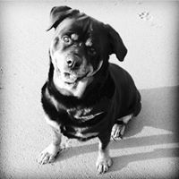 Spencer Robbins Photo 30