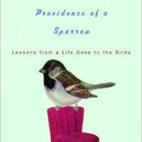 Kimberley Downing Photo 4