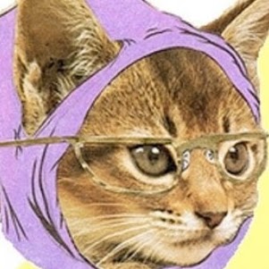 Stephanie Livingston Photo 15