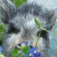 Sandy Galloway Photo 21