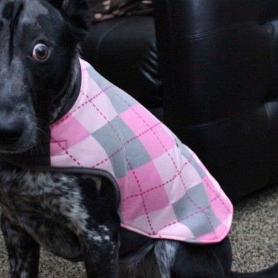 Timothy Travis Photo 31