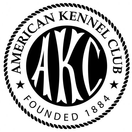 Lisa Grayson Photo 19