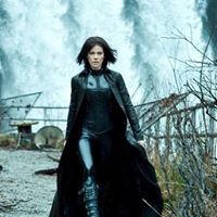 Marcy Aurand Photo 5