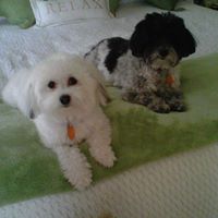 Sharon Culbertson Photo 16