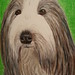 Pamela Godwin Photo 13