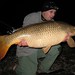 David Carper Photo 8