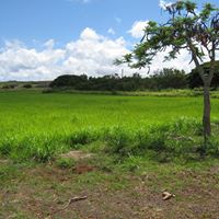 Jeremy Heath Photo 32