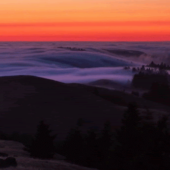 Stephen Tracy Photo 30