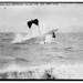 Hugh Robinson Photo 8