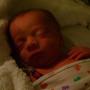 Annie Preston Photo 20