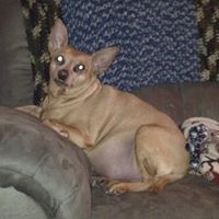 Robert Carothers Photo 8