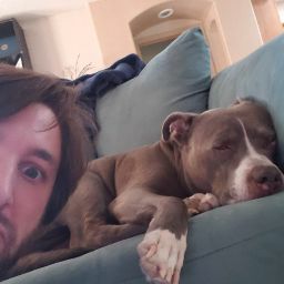 Michael Draper Photo 38