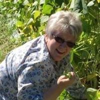 Nancy Haynes Photo 31