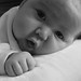 Brayden Walker Photo 26