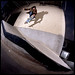 Robin Wulf Photo 18