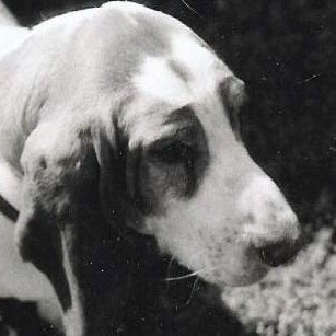 Sara Duke Photo 39 Sara Duke Photo 39