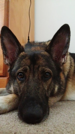 Leigh Beauchamp Photo 5