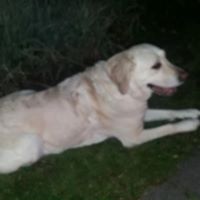 Kelly Kent Photo 20 Kelly Kent Photo 20