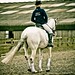 Daniel Golding Photo 35