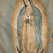 Guadalupe Rosales Photo 17