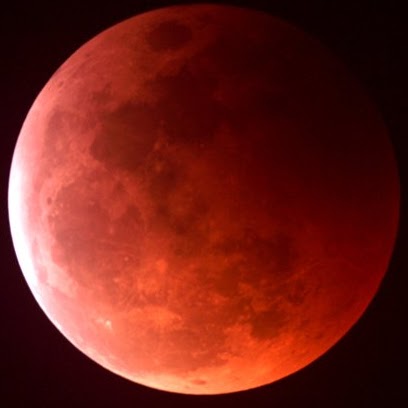 Alfred Perry Photo 32 Alfred Perry Photo 32