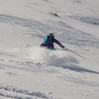 Dana Lindner Photo 3