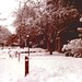 Roger Snow Photo 19