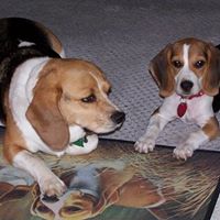 Virginia Stewart Photo 28