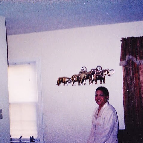 Paula Robbins Photo 10