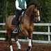 Karen Rider Photo 24