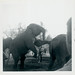 Daniel Mahan Photo 37