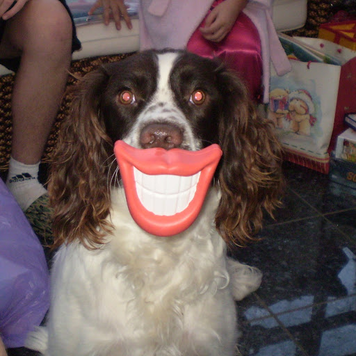 Jenny Higgins Photo 37 Jenny Higgins Photo 37