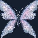 Diane Tuttle Photo 13