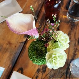 Reginald Johnson Photo 37 Reginald Johnson Photo 37