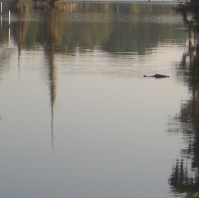 Jimmy Bolin Photo 16