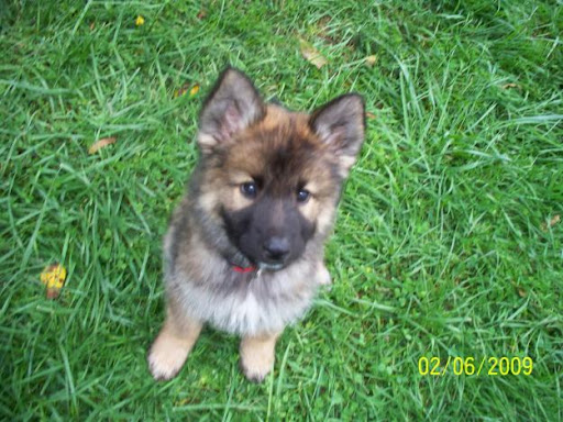 Timothy Purcell Photo 14